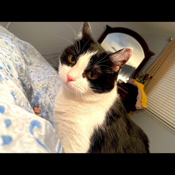 Meet your Posher, Jennifer - Picture 3 of 6